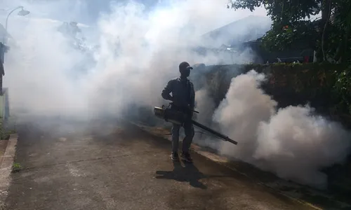 Chikungunya Serang 47 Warga, Satu Dukuh di Cawas Klaten Di-Fogging