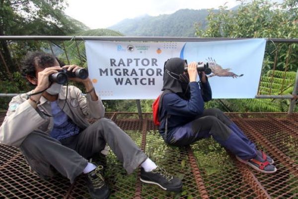 Mengamati Burung Migran, Mengetahui Kondisi Lingkungan Terkini