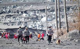 Bertambah 2 Jenazah, Korban Semeru 45 Orang