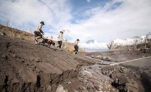 Anjing Pelacak Diterjunkan Bantu Pencarian Korban Erupsi Gunung Semeru