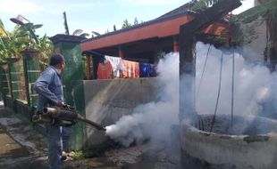 Chikungunya Merebak di Cawas Klaten, Sumur jadi Sarang Jentik Nyamuk