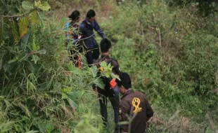 Misteri Wong Alas Purbalingga: Sakti & Bisa Menghilang