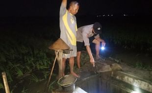 Round Up: Petani Sragen Ditemukan Meninggal Tercebur Sumur