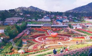 Kutabawa Rainbow Garden, Wisata Kebun Bunga Cantik di Kaki Slamet