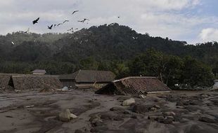 Ribuan Hektare Lahan Rusak Akibat Erupsi Semeru, Jadi Lautan Abu