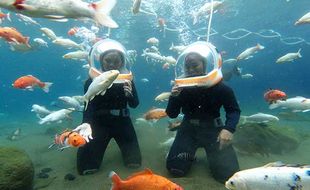 Foto Underwater hingga Ponggok Walker, Ini Tarif Wisata Umbul Ponggok