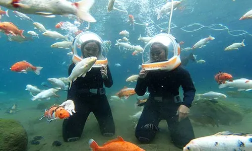 Foto Underwater hingga Ponggok Walker, Ini Tarif Wisata Umbul Ponggok