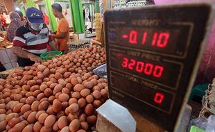 Dipicu Harga Pakan Tinggi, Telur Ayam Tembus Rp30.000/Kg