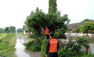 2 Desa di Sukoharjo Dilanda Hujan Angin, 1 Rumah Warga Rusak