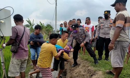 Pemasang Jebakan Tikus Listrik Bisa Dipenjara 5 Tahun, Dendanya Bikin Syok