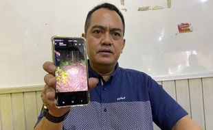 8 Batang Kayu Sonokeling Rp650 Juta Dicuri dari Hutan Bulu Sukoharjo