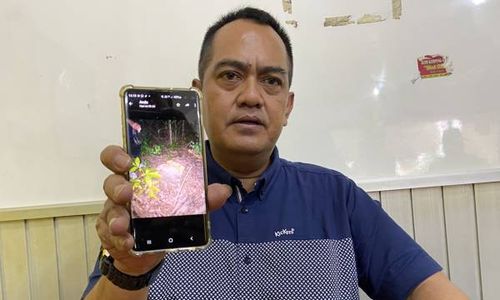 8 Batang Kayu Sonokeling Rp650 Juta Dicuri dari Hutan Bulu Sukoharjo