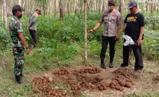 Kecele, Disangka Harta Karun Banyuwangi Ternyata Ratusan Granat