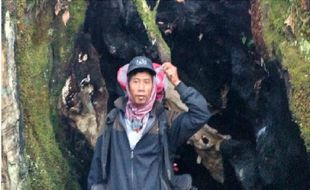 Misteri Pohon Bolong Gunung Kerinci, Konon Jadi Tempat Menyimpan Jasad