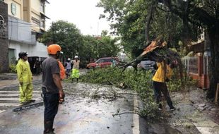 Hujan Deras dan Angin Kencang Terjang Malang Raya, Puluhan Rumah Rusak