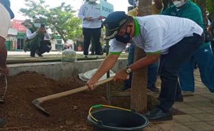 Bupati Ingin Ganti Angsana di Alun-Alun Karanganyar dengan Trembesi