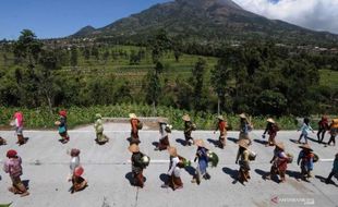 Boyolali Hari Ini: 29 Mei 2015, Lima Pendaki Tersesat di Gunung Merbabu