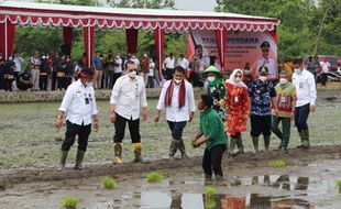 1.010 Ha Sawah di Klaten Terapkan IP 400, Tanam & Panen 4 Kali Setahun