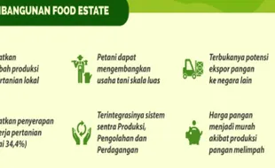 Guru Besar IPB Jabarkan Kegagalan Program Food Estate di Beberapa Lokasi