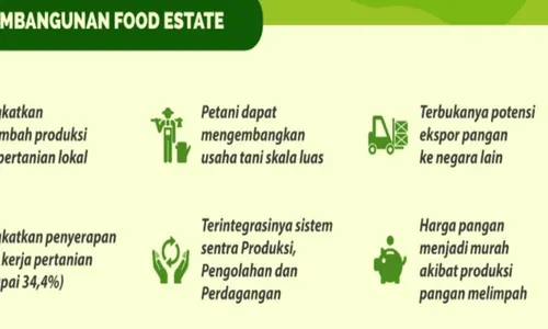 Guru Besar IPB Jabarkan Kegagalan Program Food Estate di Beberapa Lokasi