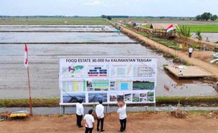 Food Estate Jadikan Indonesia Lumbung Pangan Dunia, Mungkinkah?