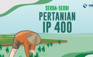 Bisa Panen Padi 4 Kali Setahun, Ini Serba-Serbi Pertanian IP 400