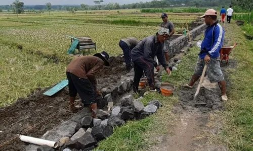 Pengangguran Sleman Tertinggi di DIY, Pemkab Anggarkan Rp19 M untuk Padat Karya