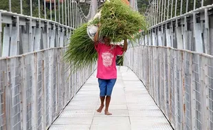 Jembatan Gantung Bikin Potensi Wisata Girpasang Klaten Kian Memesona