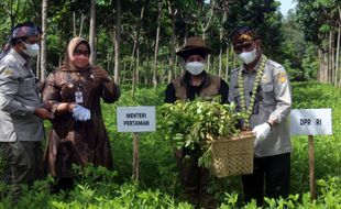 Petani Sragen Minta Permudah Beli Pupuk Bersubsidi, Mentan: Pakai KTP