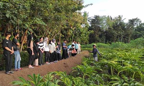 Pemdes Jatisari Wonogiri Kembangkan Pusat Studi Porang dan Agrowisata