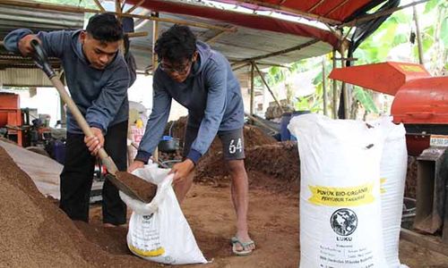 Berkah dari Limbah, Petani Milenial di Klaten Produksi Pupuk Organik