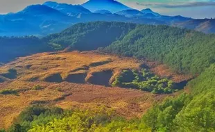 Savana Dieng, Padang Rumput Khas Afrika dengan Kearifan Lokal