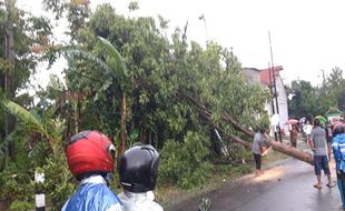 Angin Kencang di Madiun, 1 Tower SUTET PLN Roboh, 56 Rumah Rusak