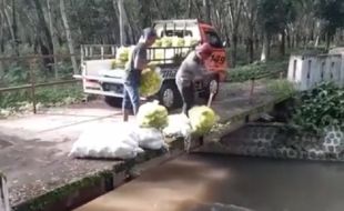 Viral! 2 Pria Diduga Buang Sayuran ke Sungai, Respons Netizen Terpecah