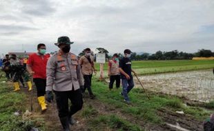 Petani dan TNI/Polri Gencar Geropyok Tikus di Sawah IP 400 Sukoharjo