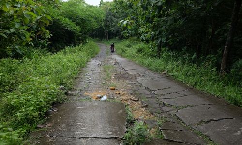 Rencana Sragen Garap Jalan Wisata Sangiran Ngebung-Manyarejo Terkendala