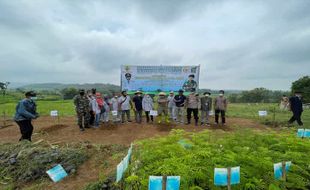 35.000 Batang Sengon Untuk Gerakan 1 Pohon 1 Juta Manfaat di Sragen