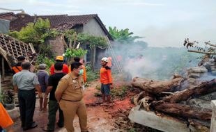 Tersambar Petir, Pohon Tumbang Timpa Dua Rumah Warga Sukoharjo