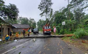 Respons Cepat PLN Pulihkan Gangguan Listrik Akibat Cuaca di Semarang