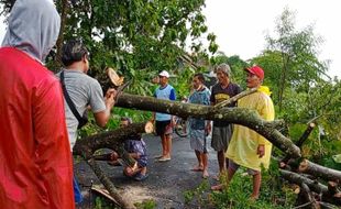 Hujan Deras Disertai Angin Kencang, Begini Kondisi 16 Desa di Klaten