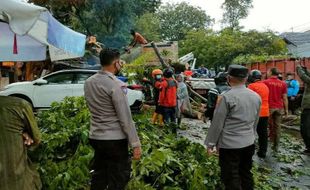 Angin Kencang Terjang Semarang, Pohon Tumbang Timpa 3 Mobil