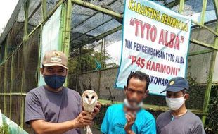 Gapoktan Gentanbanaran Sragen Studi Banding Soal Burung Hantu