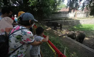 Wisata Kuliner dan Alam Soloraya Paling Diminati Turis Saat Pandemi