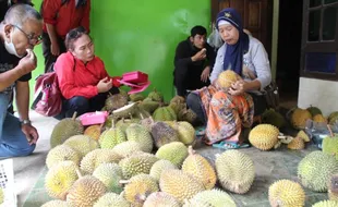 Hanya Rp35.000, Garansi Nikmat Durian Merapi Klaten di Pasar Kembang