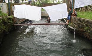 Umbul Geneng, Sumber Air Langsung Minum Nyaris Terdampak Tol Solo-Jogja