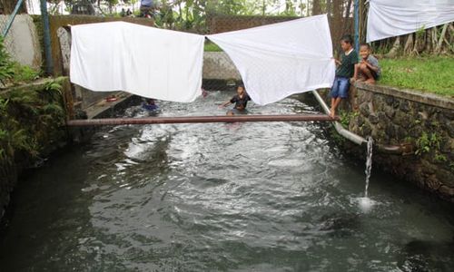 Umbul Geneng, Sumber Air Langsung Minum Nyaris Terdampak Tol Solo-Jogja