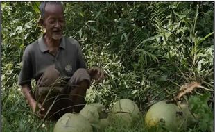 Penolakan Penambangan Batu Andesit di Desa Wadas Murni Gerakan Warga