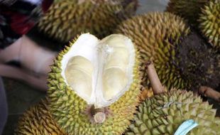 Berburu Durian Merapi Klaten di Keputran, Harga Dijamin Lebih Murah