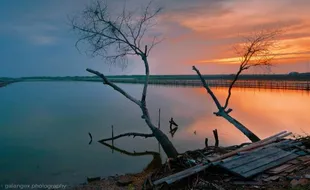 Pantai Morosari, Pesona Wisata Bahari Ciamik di Demak