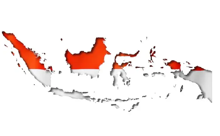 Mengulas Alasan Kenapa Indonesia Disebut Negara Konoha, Awal ...